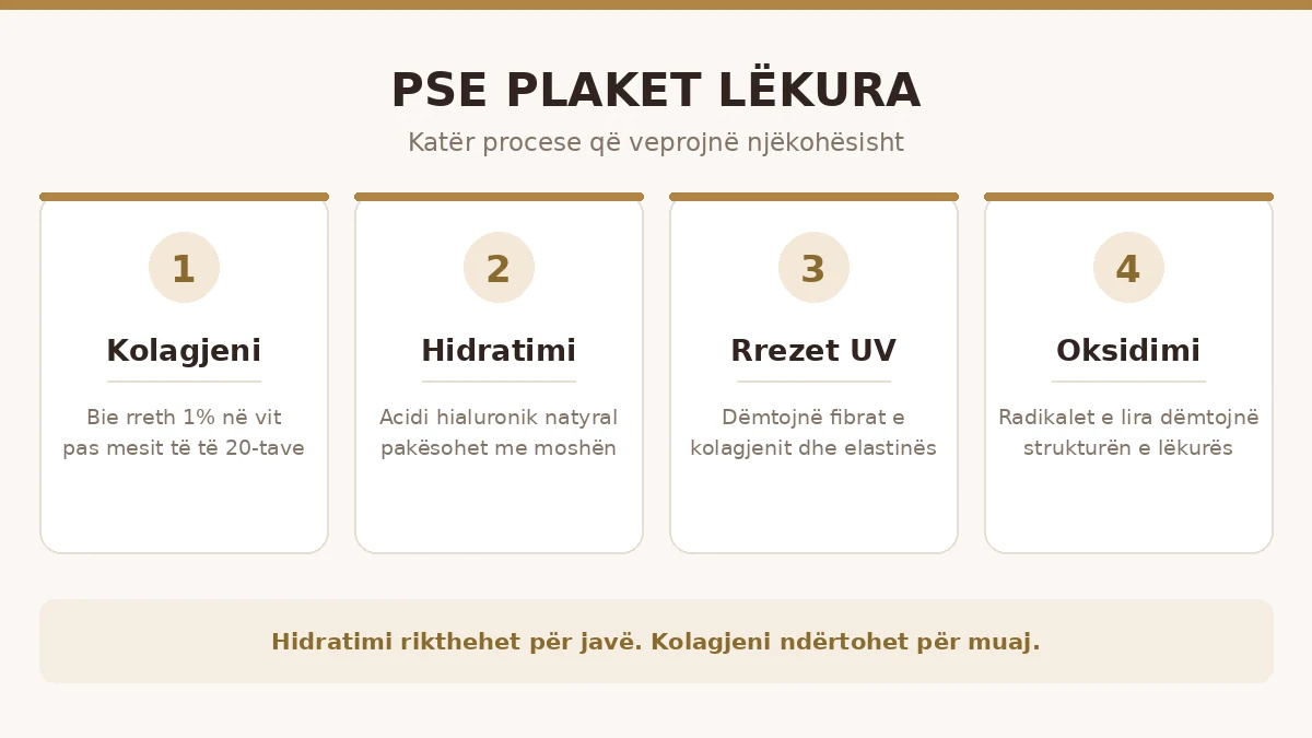 Shkaqet e rrudhave plakja e lekures